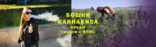 прущая мука Инсар