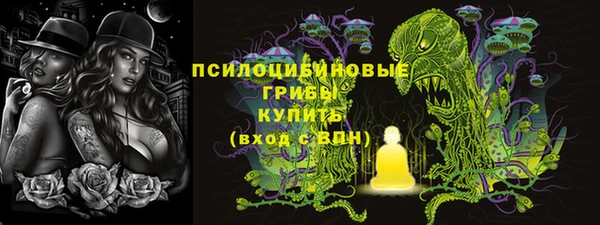 прущая мука Инсар