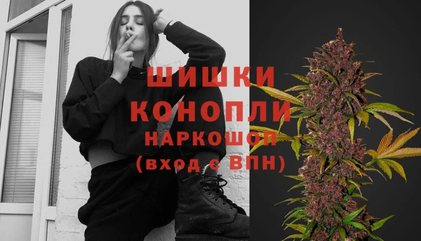 прущая мука Инсар